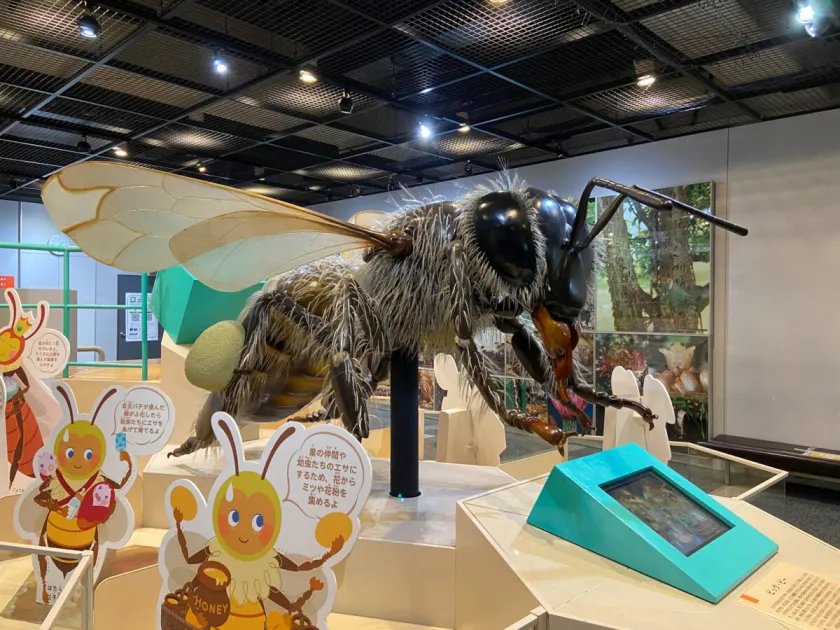 🦋 이타미시 곤충관 (이타미시 콘추칸) 이미지 7